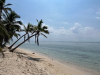 Isla Lobos (Tamiahua) - 2023 Lo que se debe saber antes de viajar -  Tripadvisor