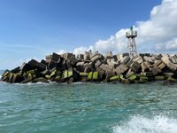 Isla Lobos (Tamiahua) - 2023 Lo que se debe saber antes de viajar -  Tripadvisor