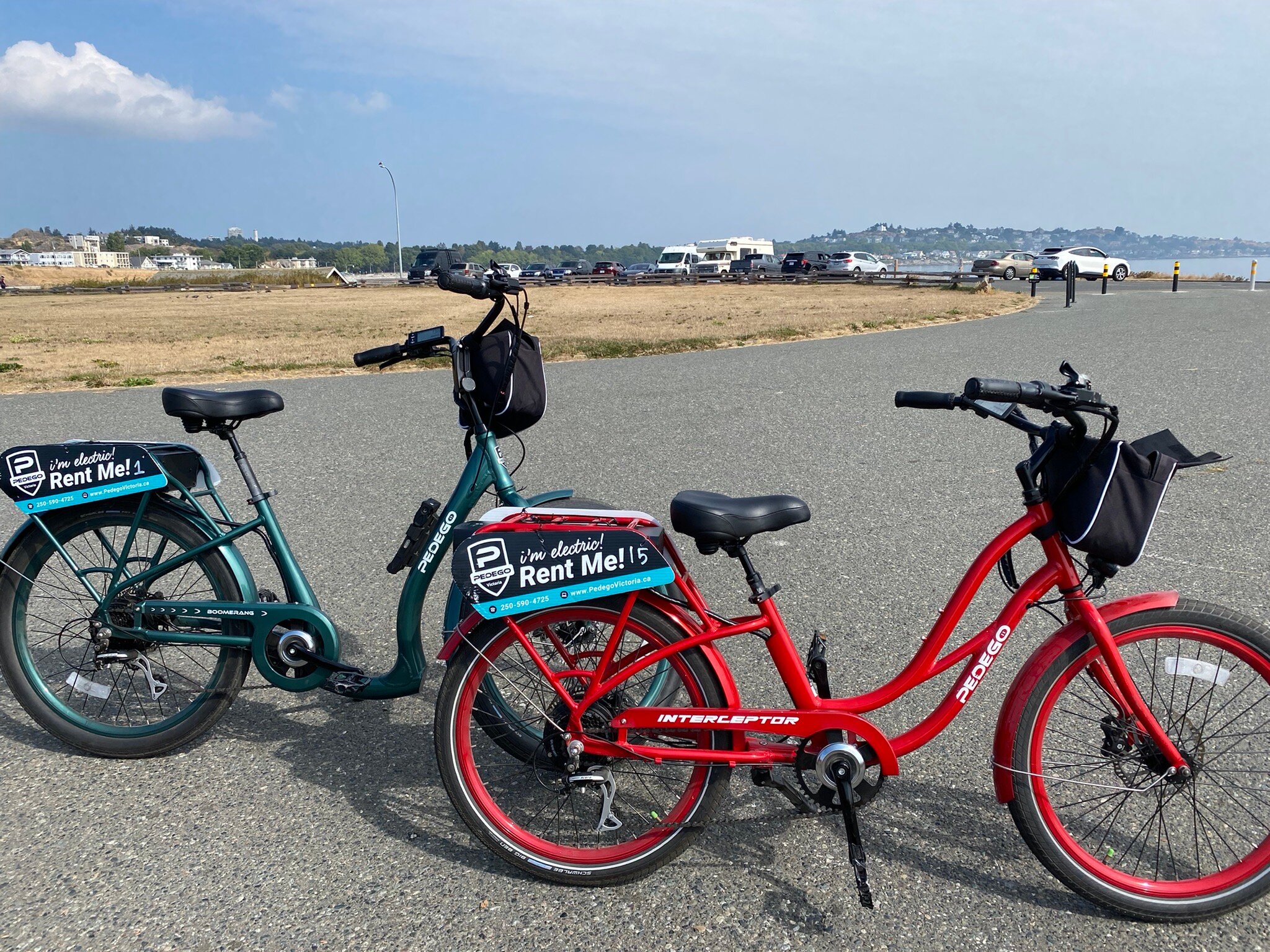 Victoria electric deals bikes