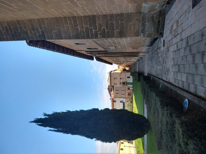 Imagen 3 de Monasterio de Nuestra Señora de la Piedad