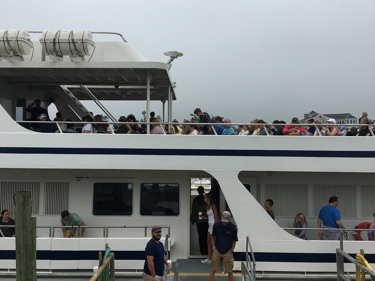 hyannis whale watch cruise discount