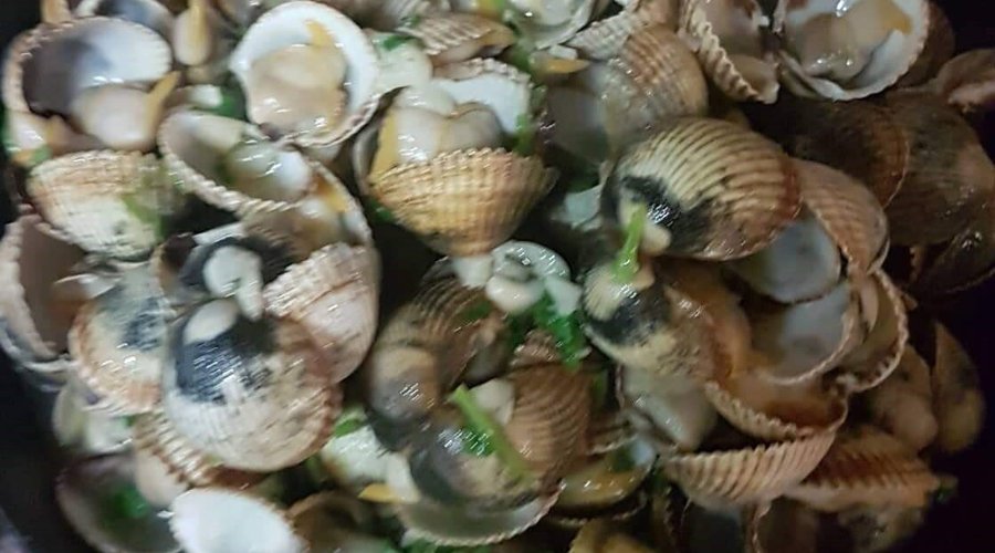 Ameijoas a casa
