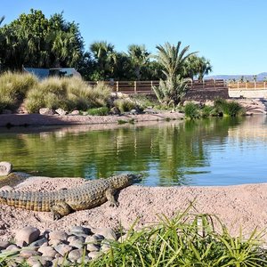 Tripadvisor, Agadir ou taghazout para excursão ao Paradise Valley + café  da manhã com argan: experiência oferecida por Agadir Attractions