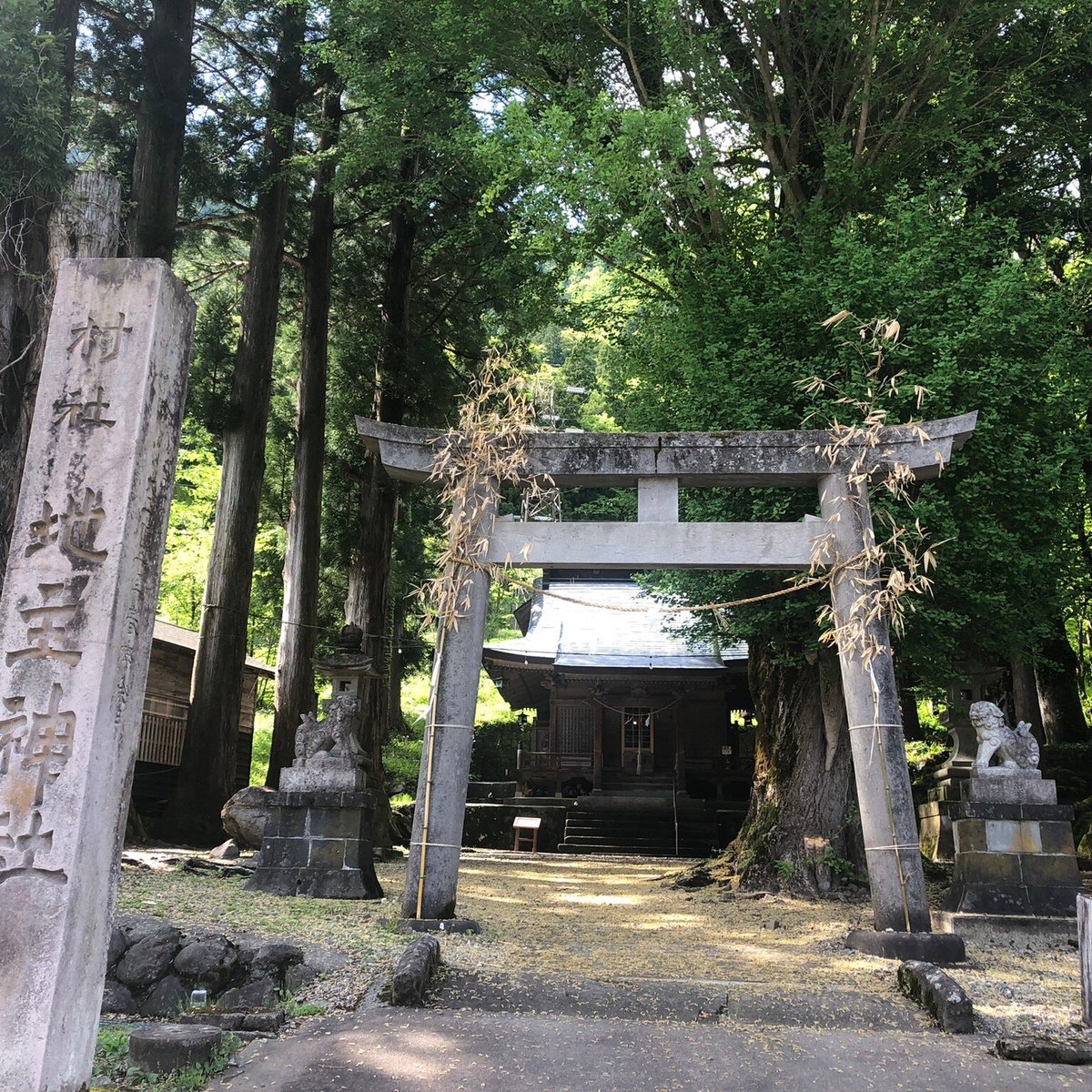 Jinushi Shrine (Nanto) - All You Need to Know BEFORE You Go