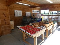 Fresh NC Apples – Mountain Fresh Orchards