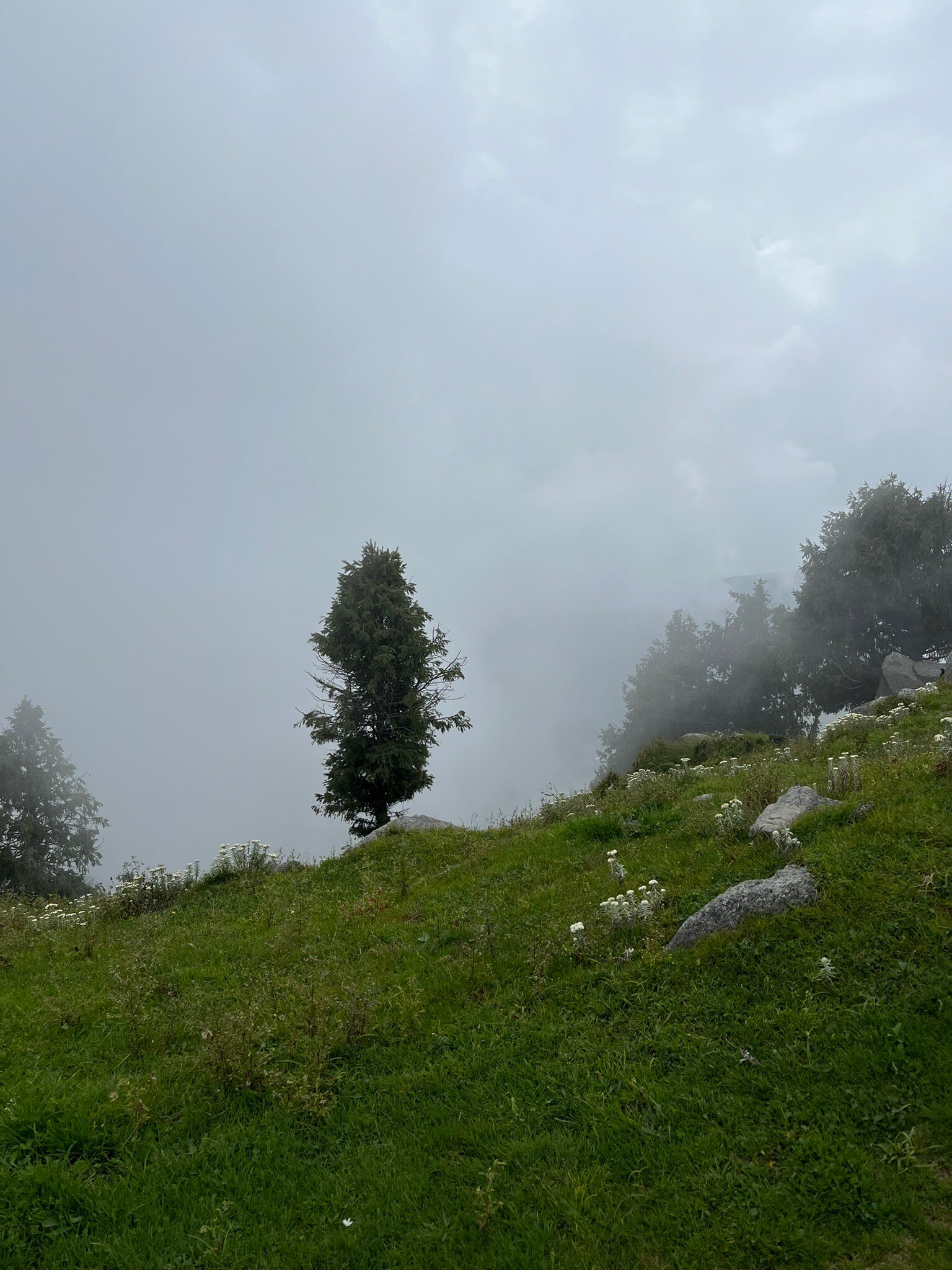 Dainkund Peak (Dalhousie) - All You Need To Know BEFORE You Go