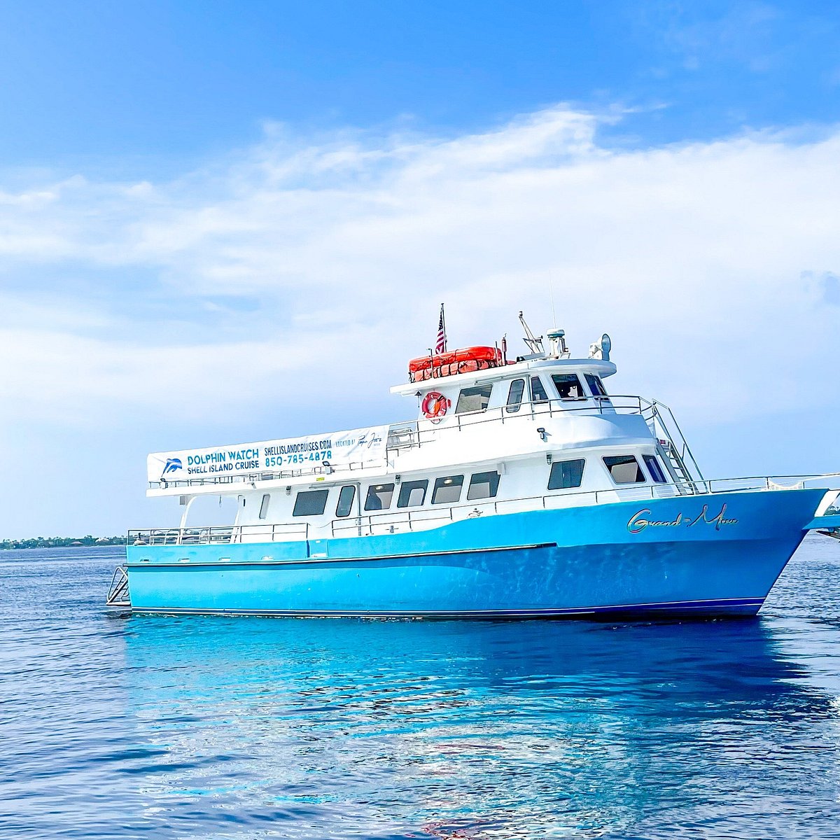 shell island cruise and dolphin watch