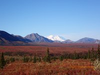 Denali National Park (Alaska) - All You Need to Know BEFORE You Go