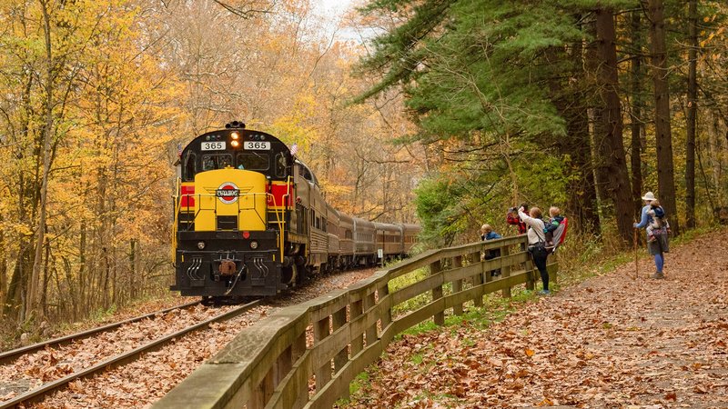 Group of people taking photos of the Cuyahoga Valley Scenic Railroad in autumn 