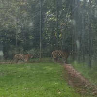 PAIGNTON ZOO ENVIRONMENTAL PARK - All You Need to Know BEFORE You Go