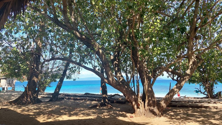 Nosy Tanikely plage