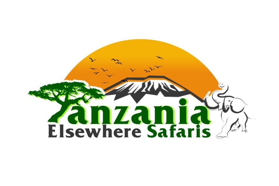 Tanzania Elsewhere Adventure and Safaris - All You Need to Know BEFORE ...