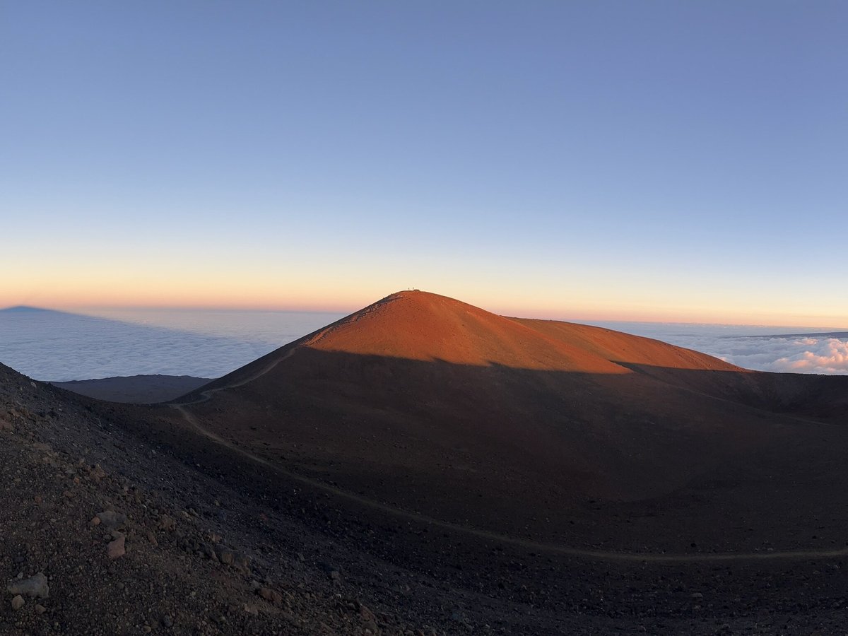 Hawaii Forest & Trail - All You Need to Know BEFORE You Go (2024)