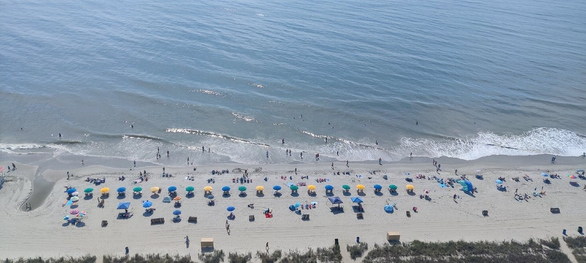 Courtyard Myrtle Beach Oceanfront Updated 2025 Reviews Photos And Prices