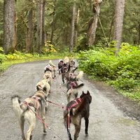 Dog Sled Discovery & Musher's Camp - All You Need to Know BEFORE You Go ...