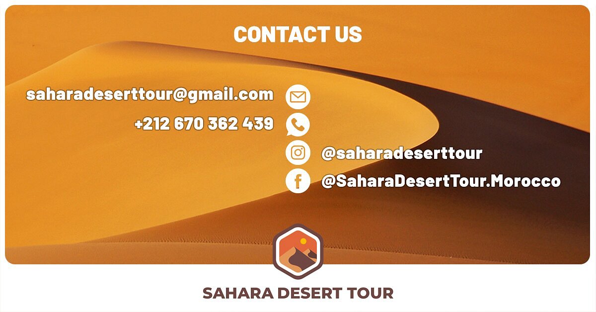 sahara desert tour tripadvisor
