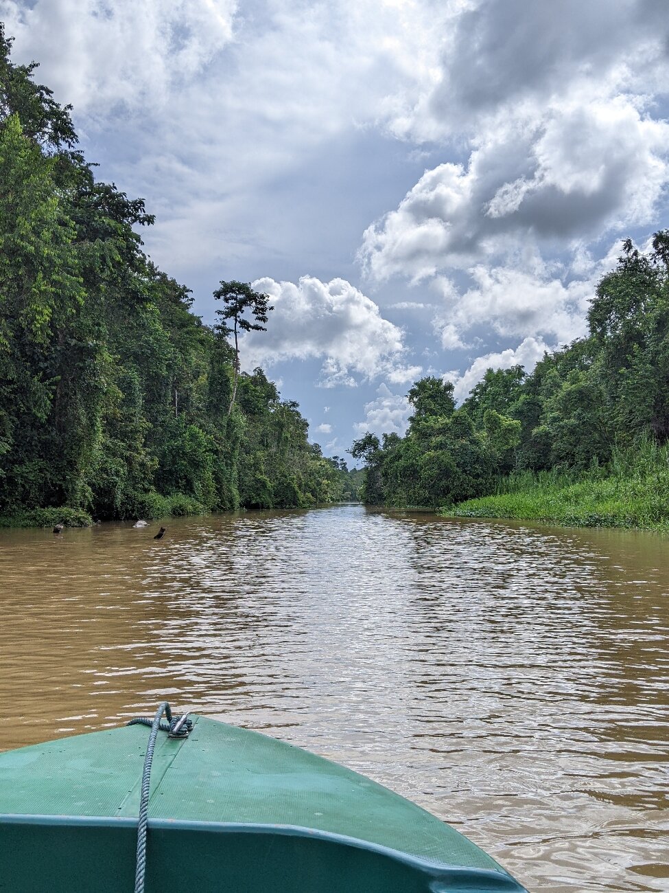 Kinabatangan River (Sabah) - All You Need To Know BEFORE You Go