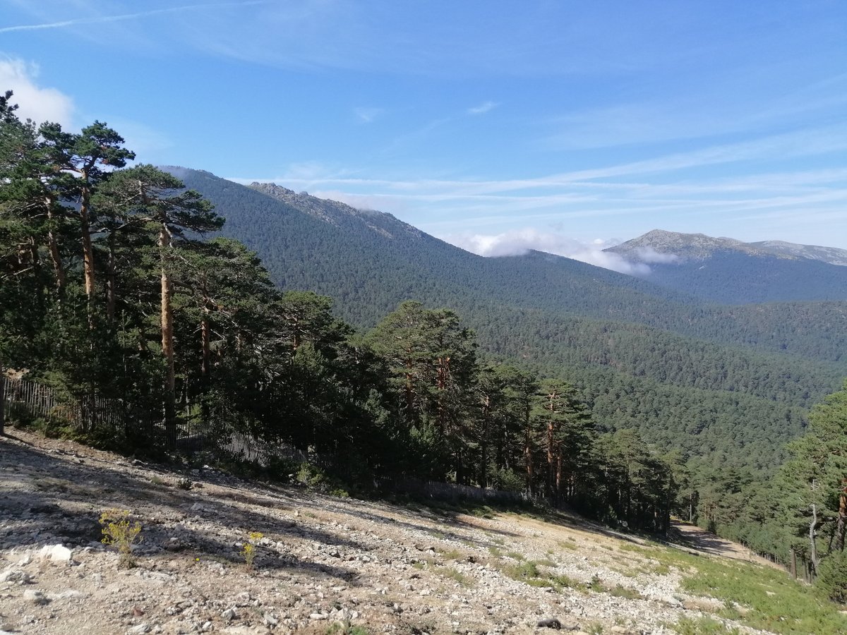 TREN DE LA NATURALEZA (Cercedilla) - All You Need to Know BEFORE You Go