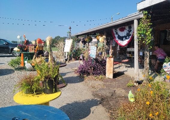 Barnwood Grill