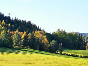 Resenär