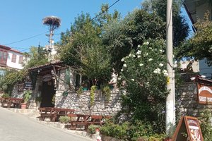 Seyahat Eden