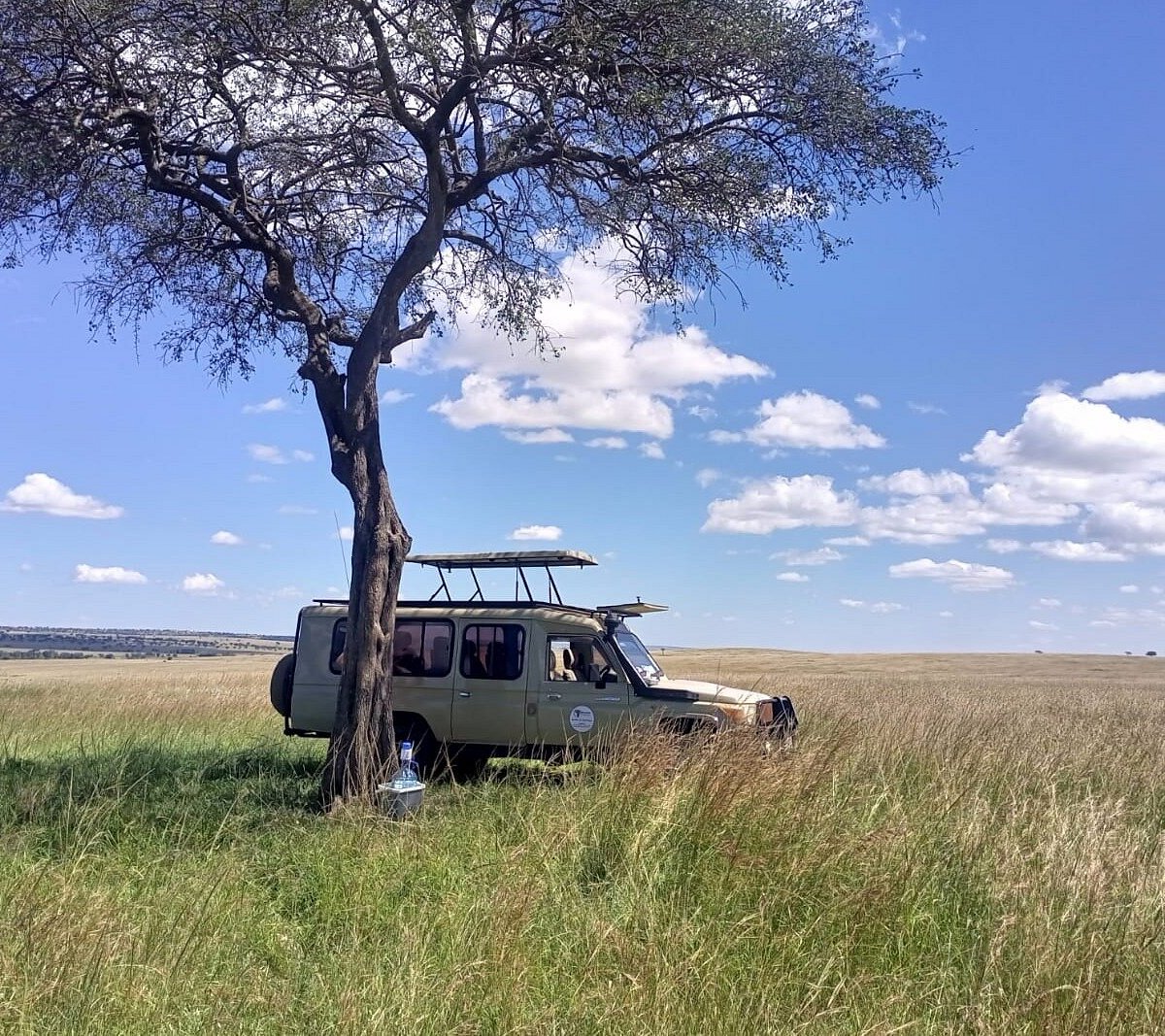 kenya and beyond safaris