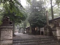 調神社 口コミ 写真 地図 情報 トリップアドバイザー