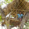 Abehitha Fernando