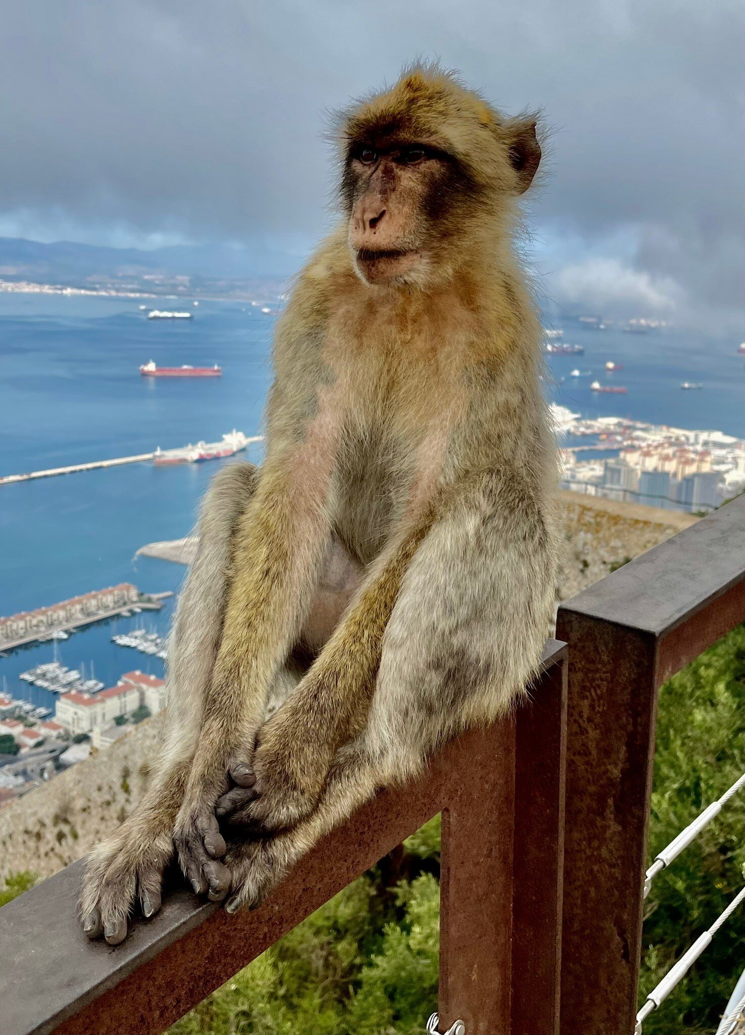 Gibraltar Cable Car - All You Need To Know BEFORE You Go