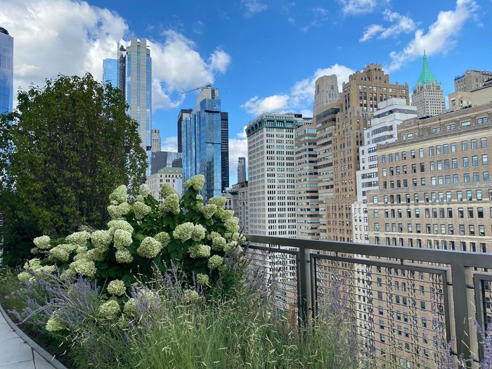 Imagen 2 de Sonder Battery Park