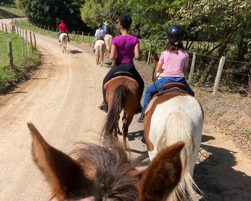 COMO SUBIR NO CAVALO PULANDO 