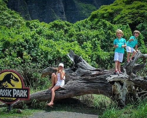 Oahu Halloween Nightmare Jungle Trail & Outdoor Haunted Experience with  S'mores tours, activities, fun things to do in Oahu(Hawaii)｜VELTRA