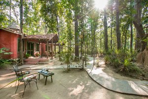 𝗧𝗛𝗘 𝟭𝟬 𝗕𝗘𝗦𝗧 Hotels in Kanha National Park 2025 (with Prices)