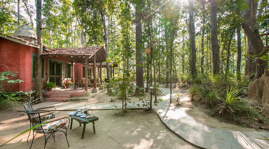 Top 15 Hotels Resorts Kanha National Park: Ultimate Luxury Retreats