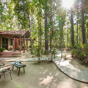 Kanha Jungle Lodge - Best Resort in Kanha