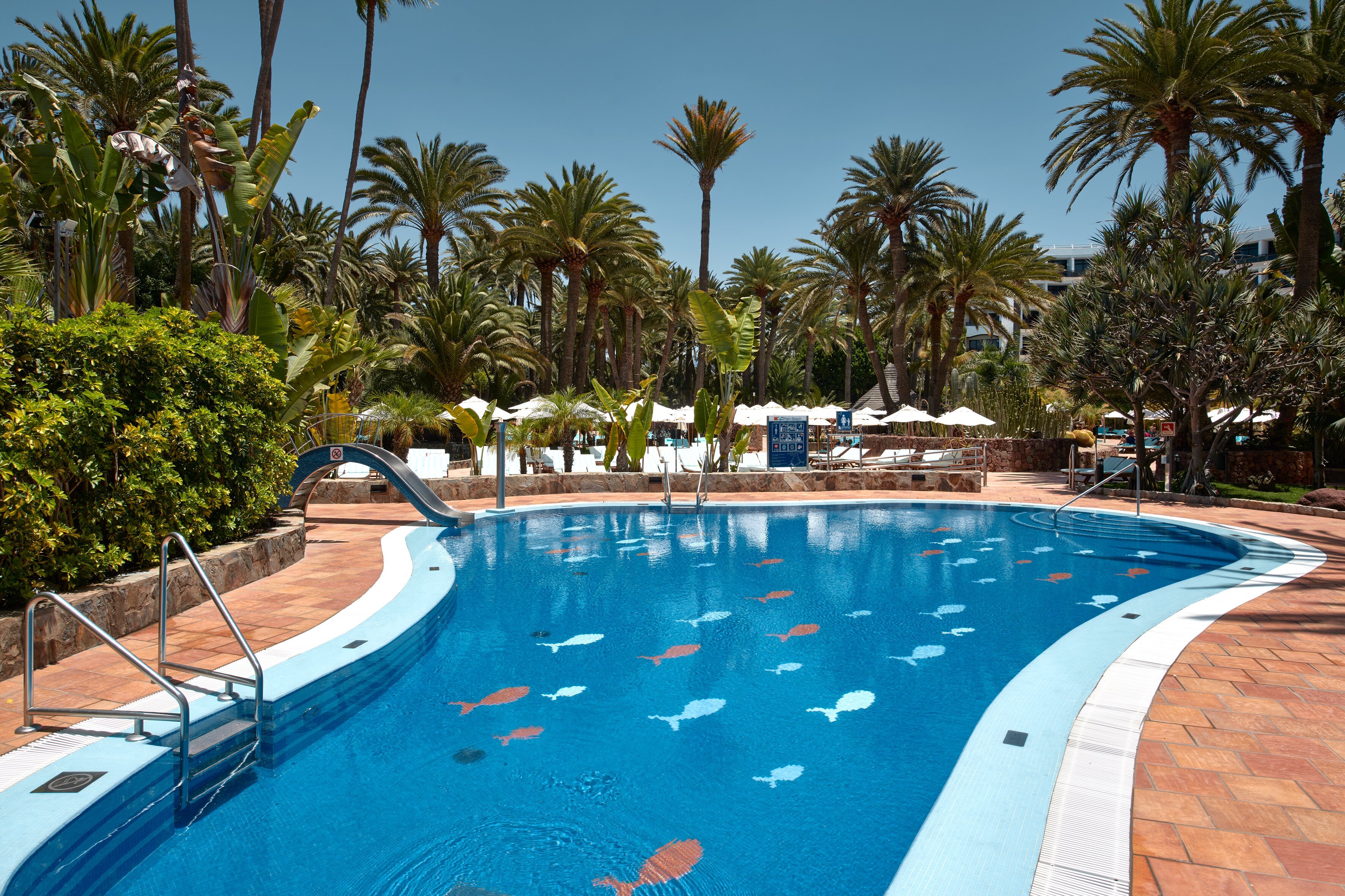 Seaside Palm Beach Pool Pictures & Reviews - Tripadvisor