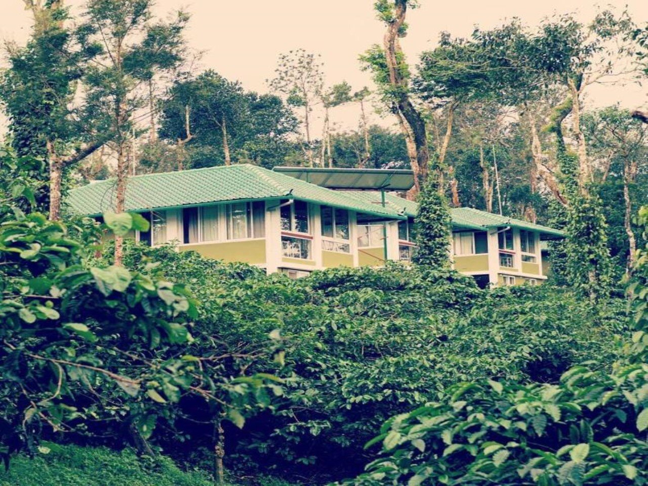 HIDDEN CREEK COORG - Prices & B&B Reviews (Kodagu (Coorg), India)