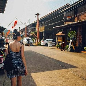 Lanta Animal Welfare (Ban Sala Dan) - All You Need to Know BEFORE You Go Lanta Animal Welfare (Ban Sala Dan) - All You Need to Know BEFORE You Go