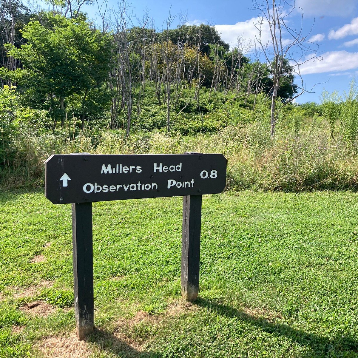 Millers Head Shenandoah All You Need To Know BEFORE You Go millers-head-shenandoah-all-you-need-to-know-before-you-go
