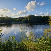 SIX MILE CYPRESS SLOUGH PRESERVE (Fort Myers) - All You Need to Know ...