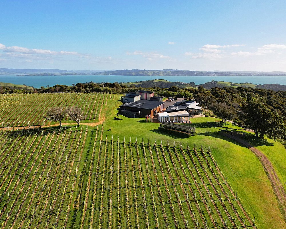 waiheke island wineries tour