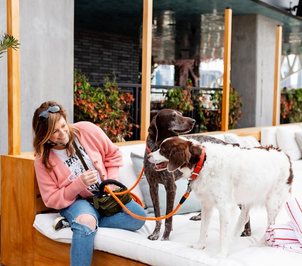 THE BEST Moree Pet Friendly Motels of 2022 (with Prices) Tripadvisor