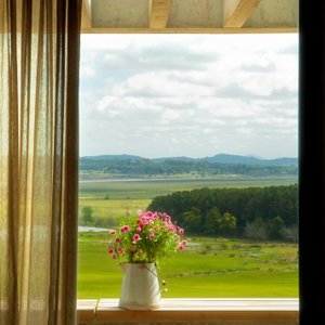 Room View