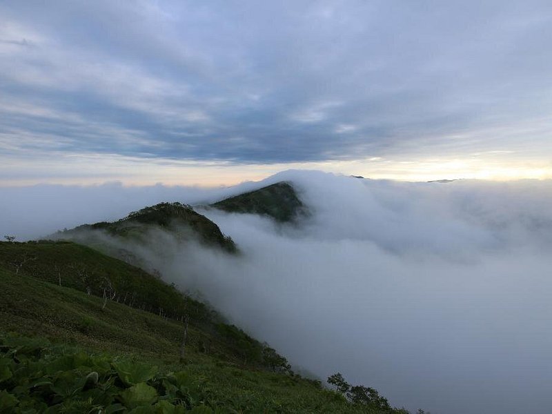 Fog streaming over the caldera