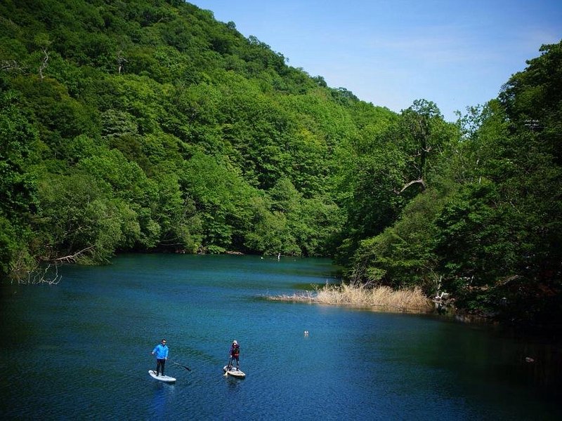 People paddle boarding over a lake surrounded by mountains and forests
