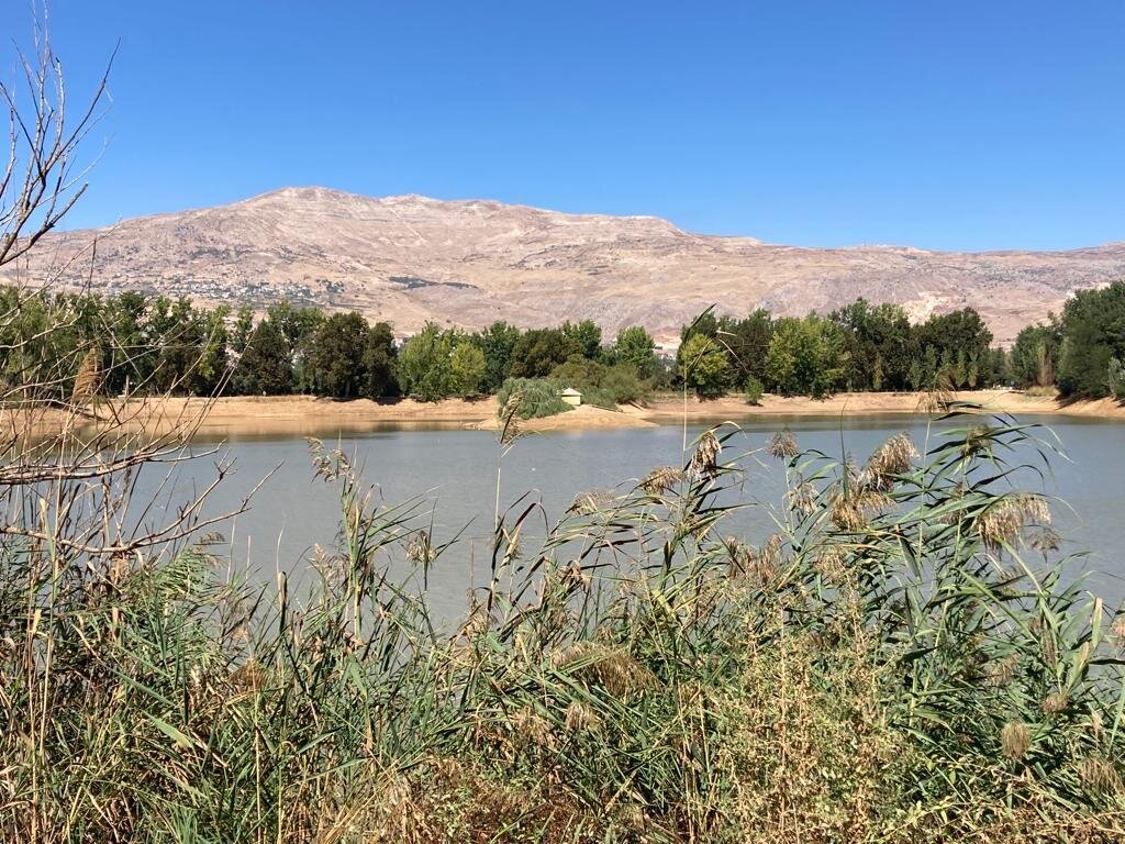 Taanayel Lake: A Haven of Tranquility and Beauty in Lebanon's Bekaa Valley - Culinary Delights