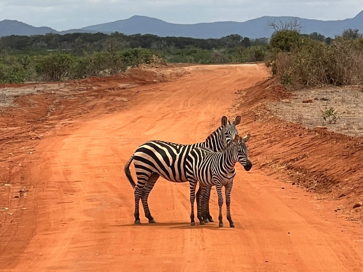 Wildnis Tours And Safaris Diani Beach All You Need To Know Before You Go