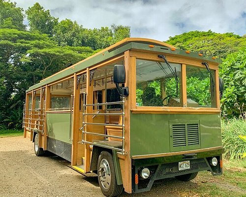 city bus tour hawaii