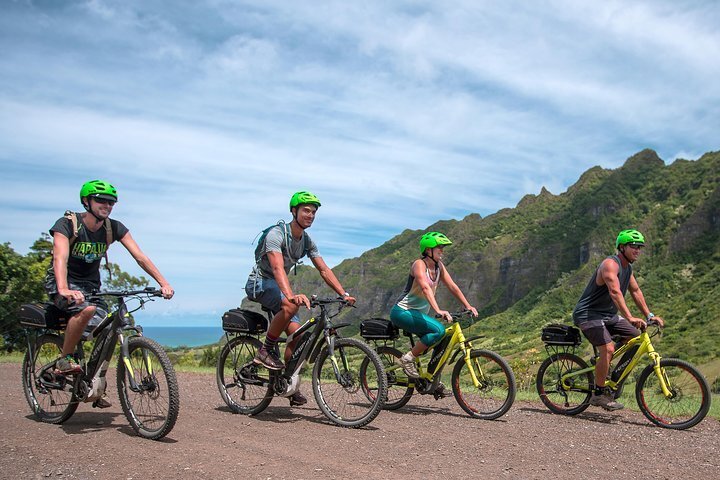 beginner electric mountain bike