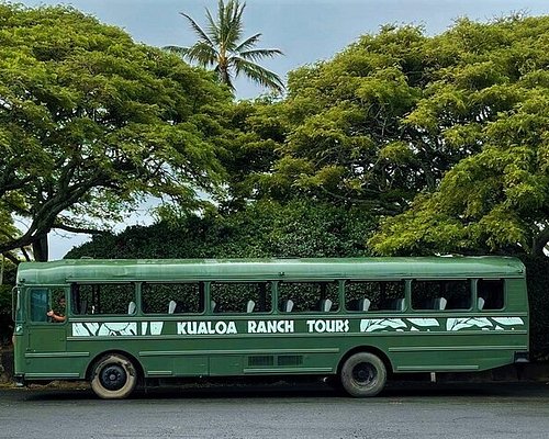 bus tour in oahu
